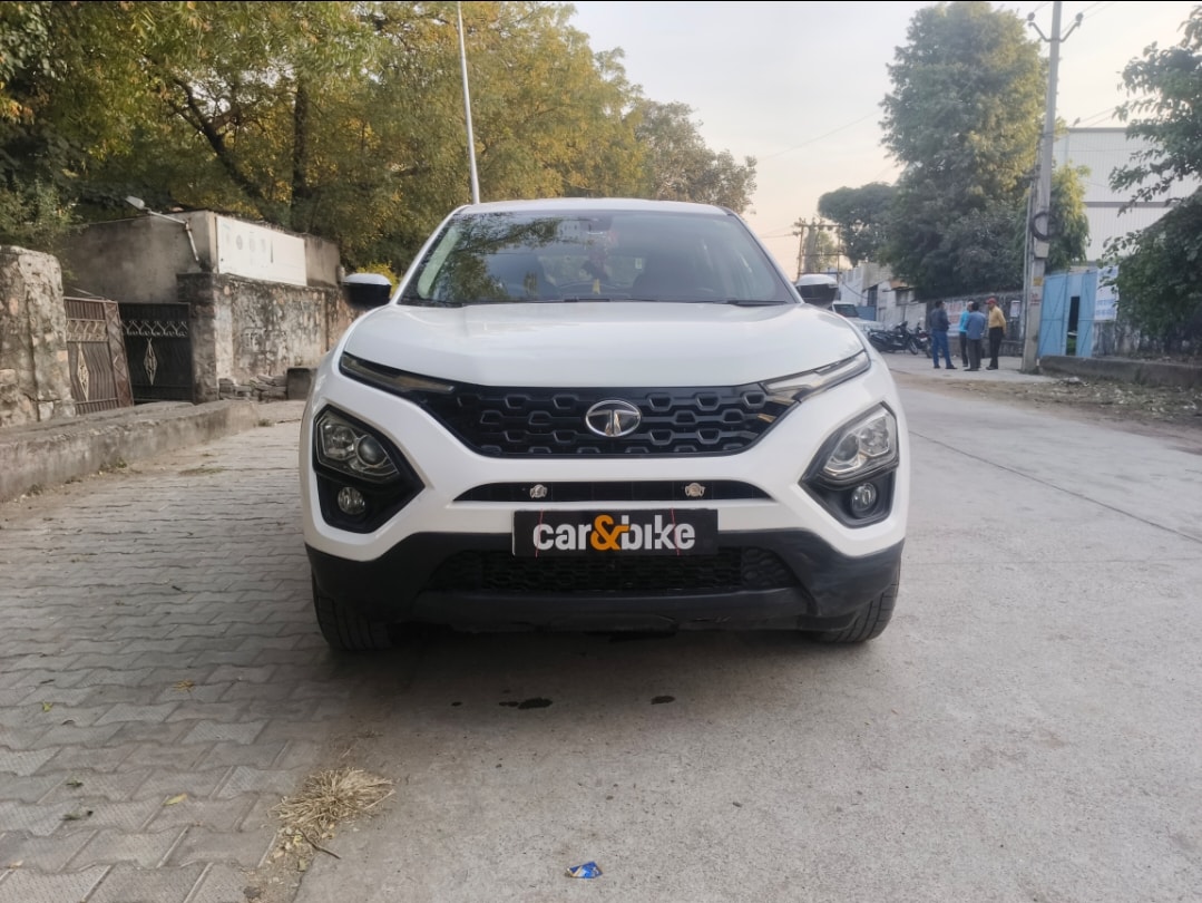 Harrier image 9 Harrier image 9