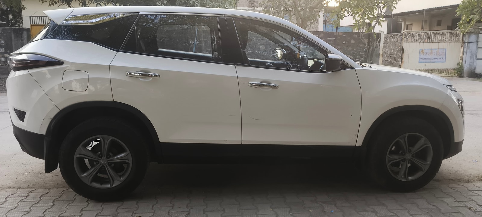 Harrier image 7 Harrier image 7