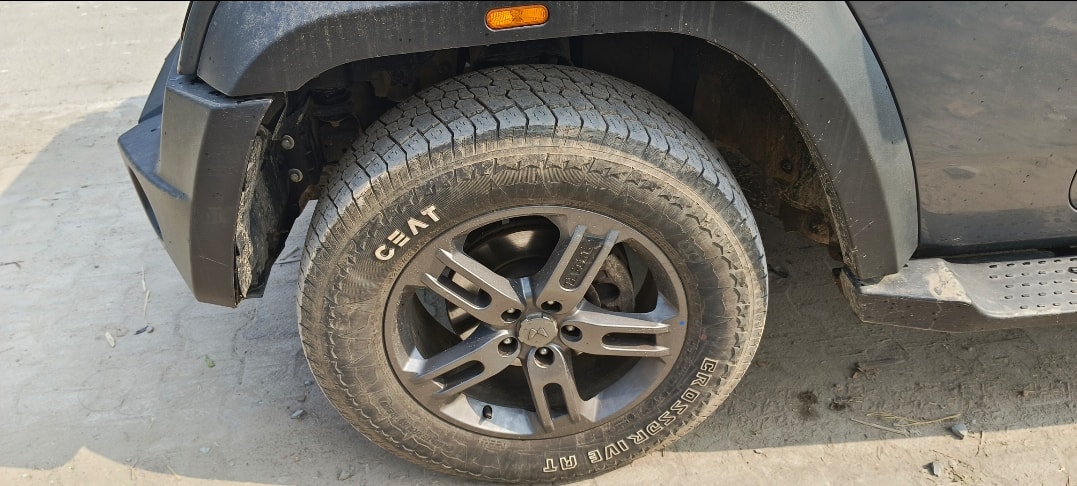 Thar image 9 Thar image 9