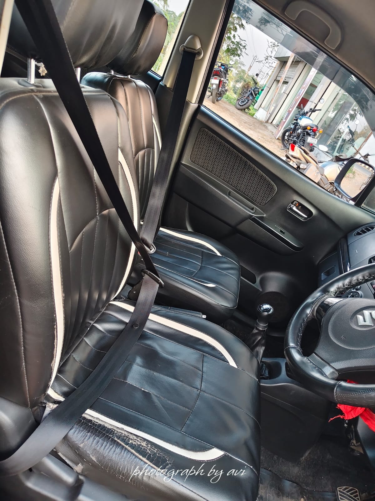 Stingray image 16 Stingray image 16