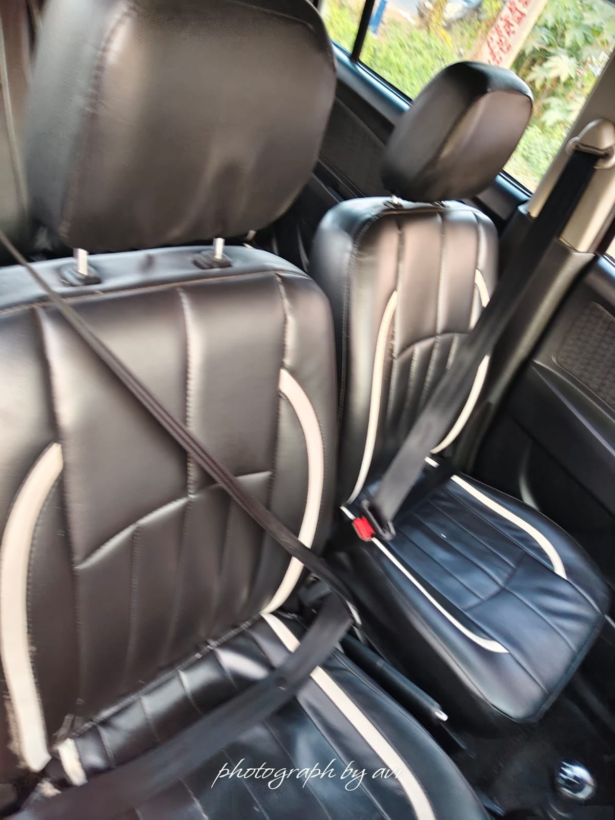 Stingray image 14 Stingray image 14