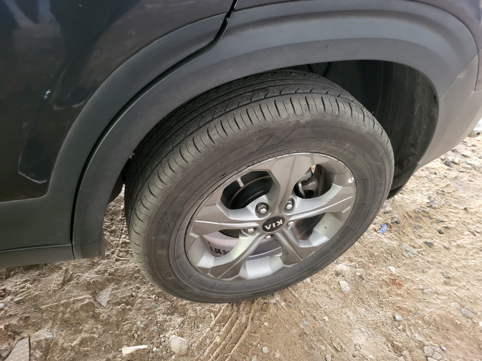 Seltos image 7 Seltos image 7