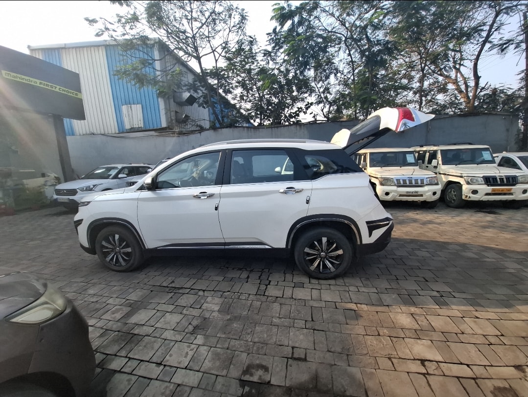 Hector image 10 Hector image 10