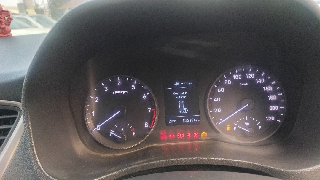 Verna image 11 Verna image 11