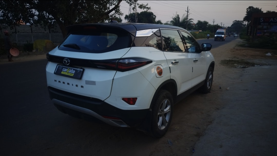 Harrier image 5 Harrier image 5