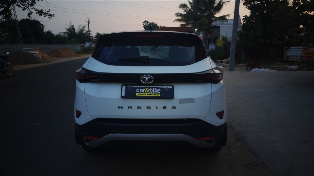 Harrier image 4 Harrier image 4