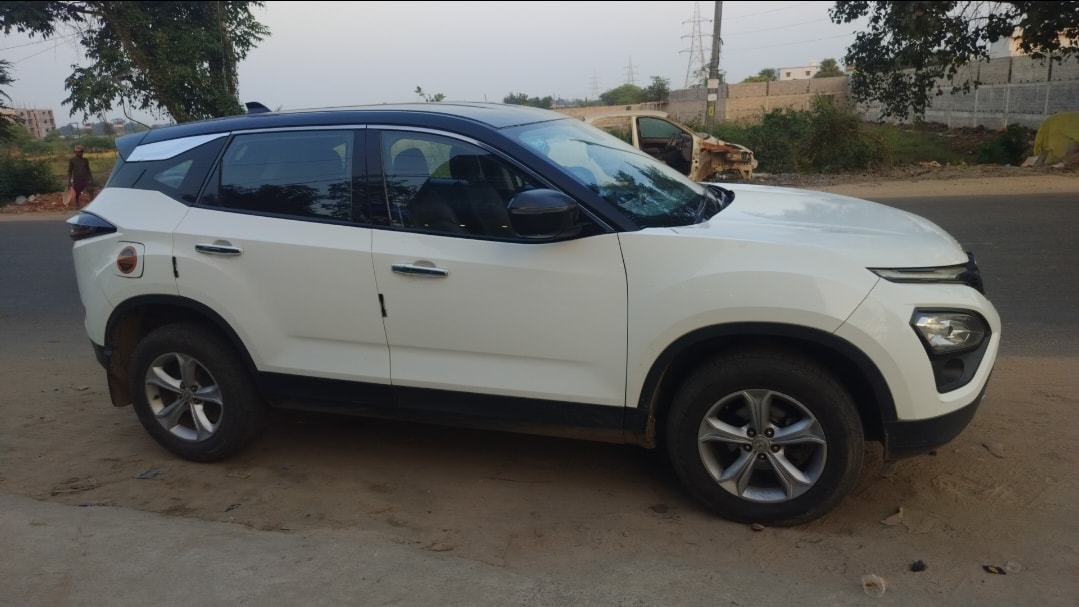 Harrier image 6 Harrier image 6