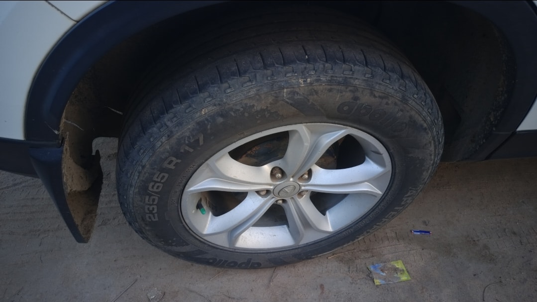 Harrier image 9 Harrier image 9