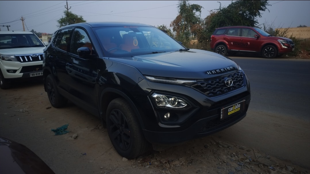 Harrier image 6 Harrier image 6