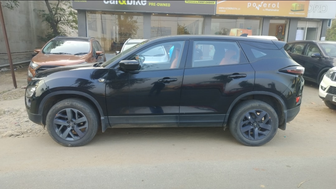 Harrier image 2 Harrier image 2