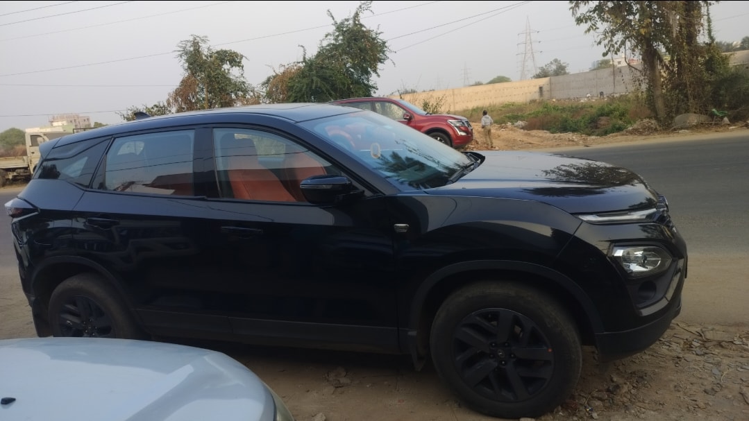 Harrier image 5 Harrier image 5