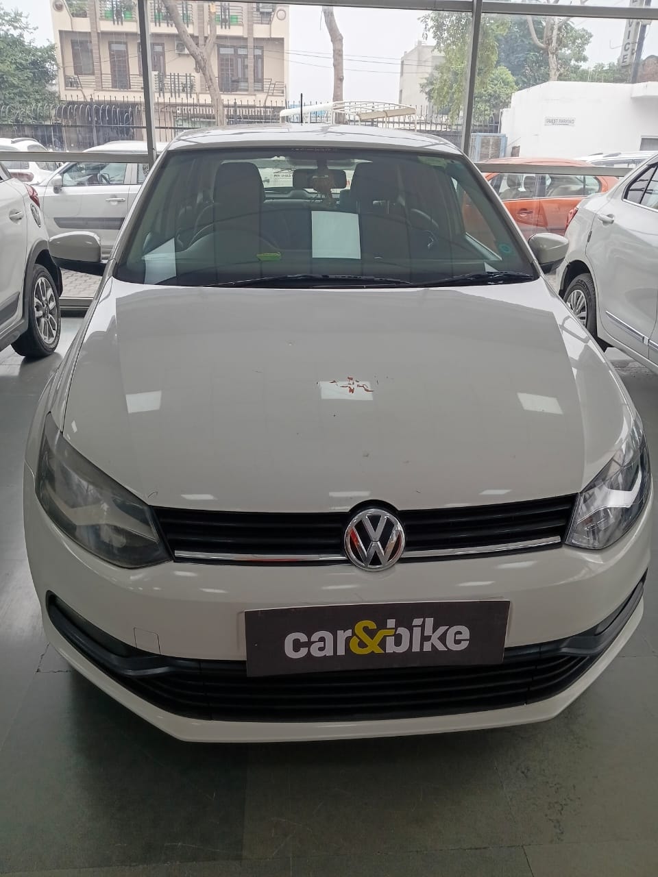 Polo image 4 Polo image 4