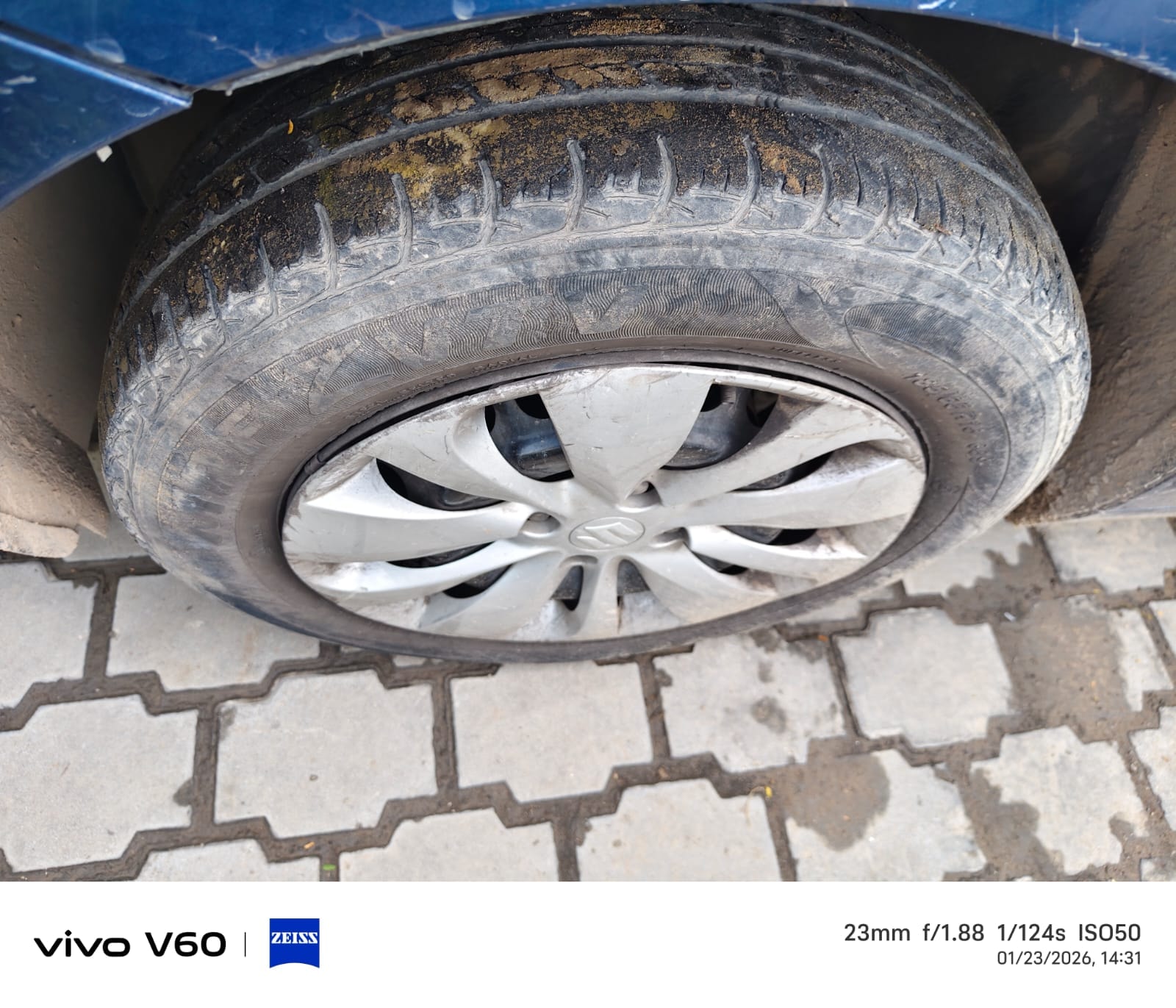 Baleno image 5 Baleno image 5