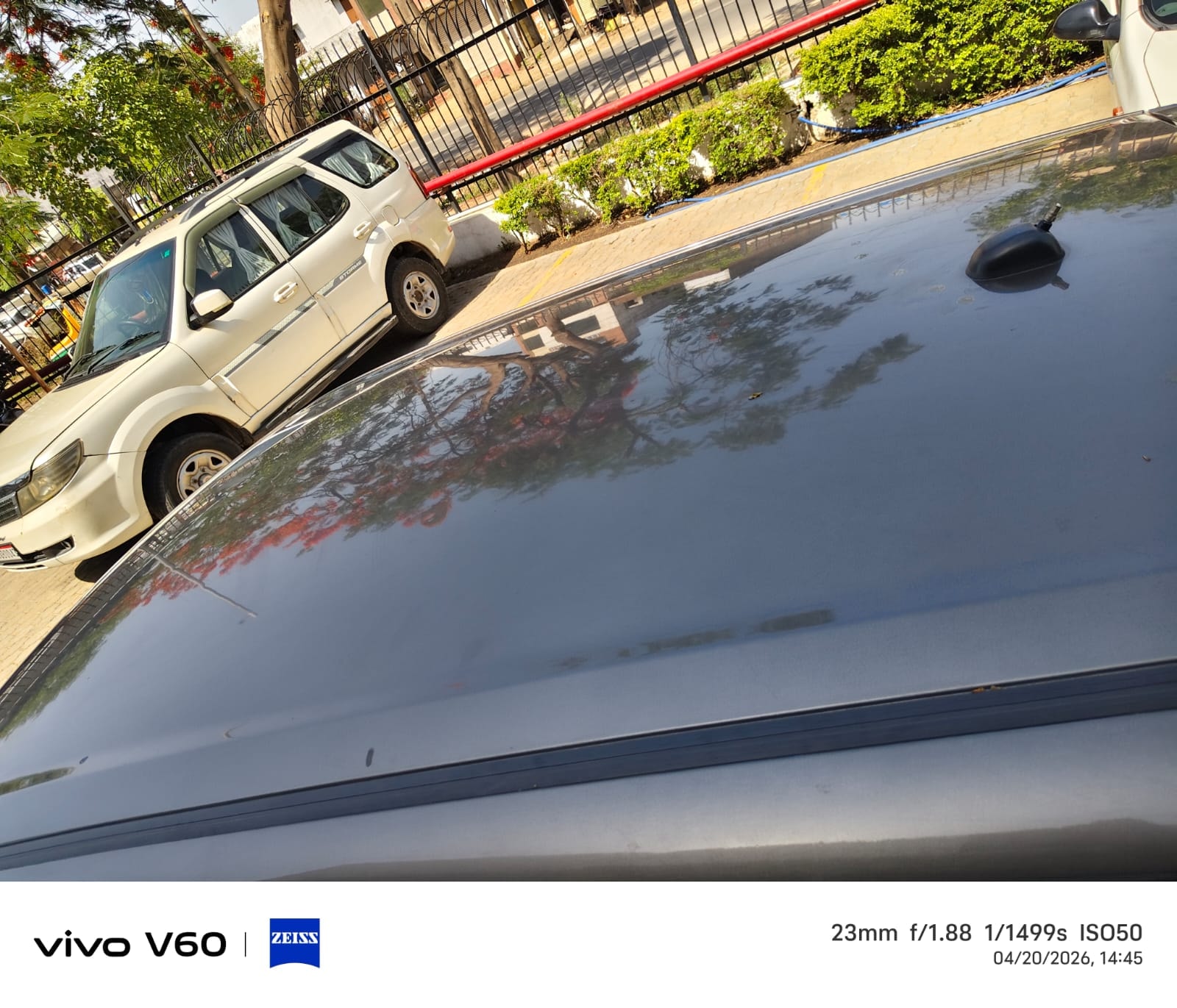 Swift image 5 Swift image 5