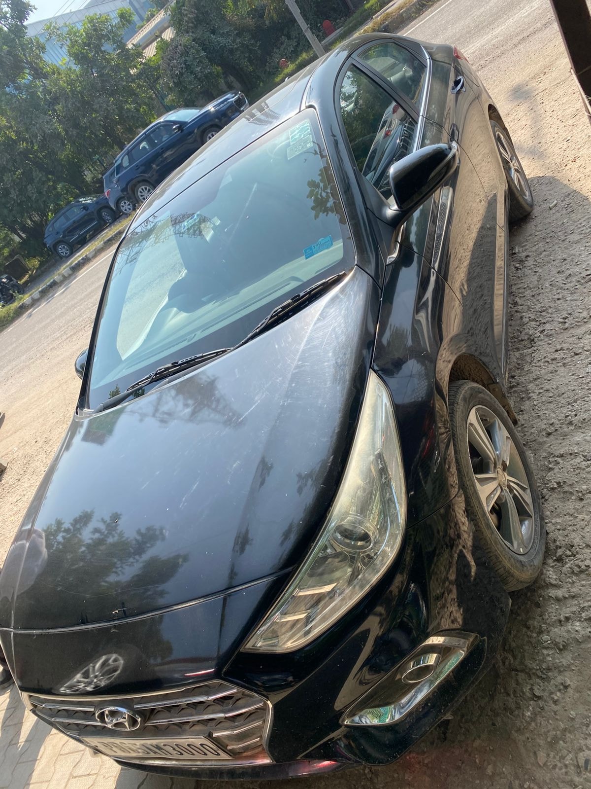 Verna image 2 Verna image 2