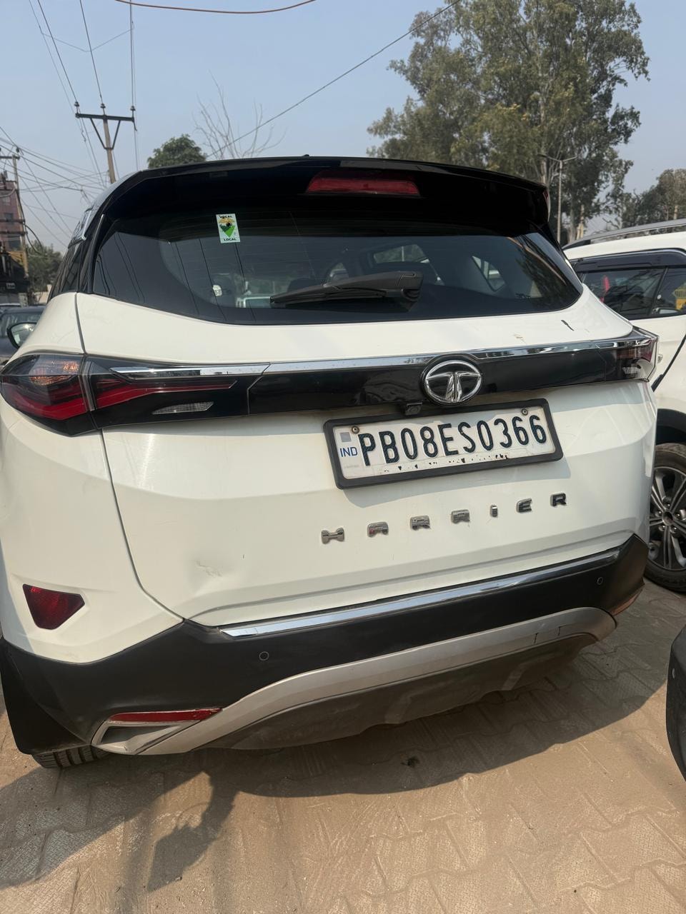 Harrier image 3 Harrier image 3