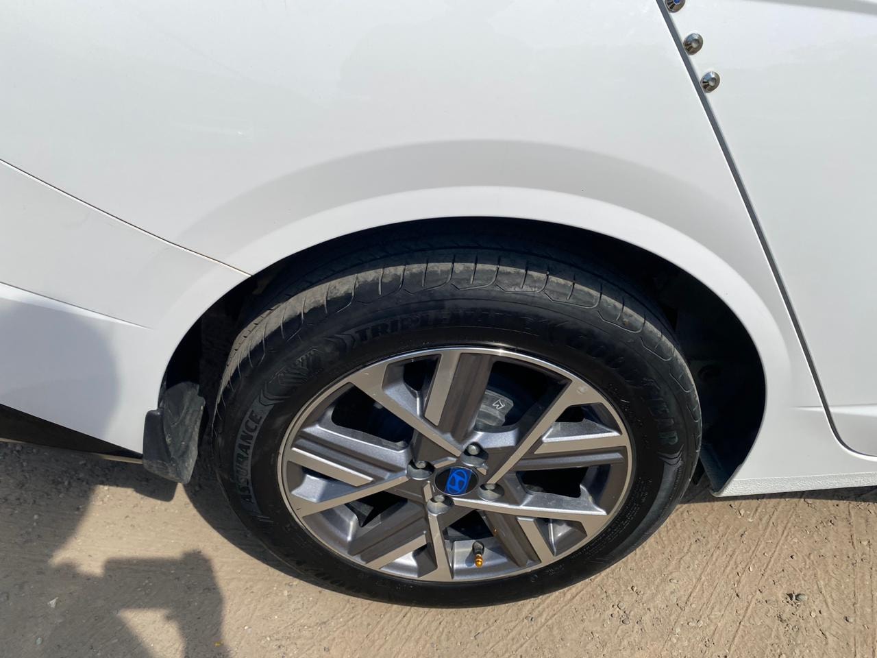 Verna image 8 Verna image 8