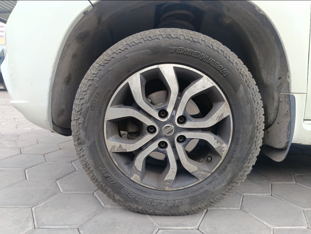 Terrano image 9 Terrano image 9