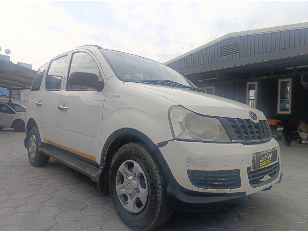 Xylo image 7 Xylo image 7