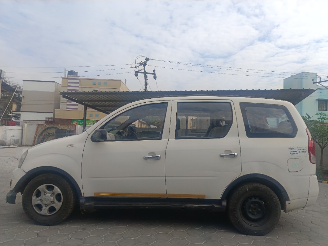 Xylo image 10 Xylo image 10