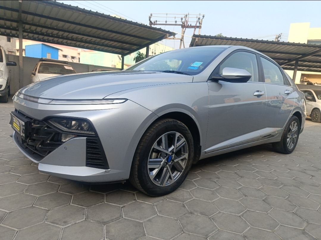 Verna image 1 Verna image 1