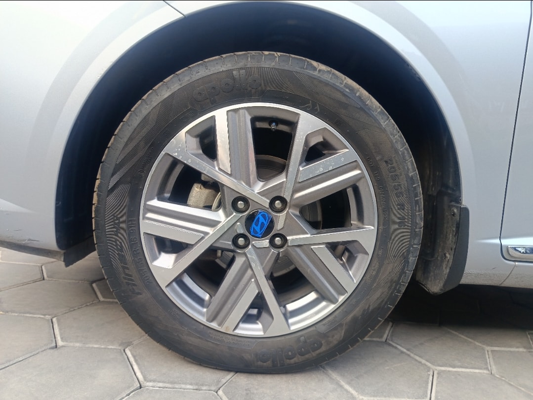 Verna image 9 Verna image 9