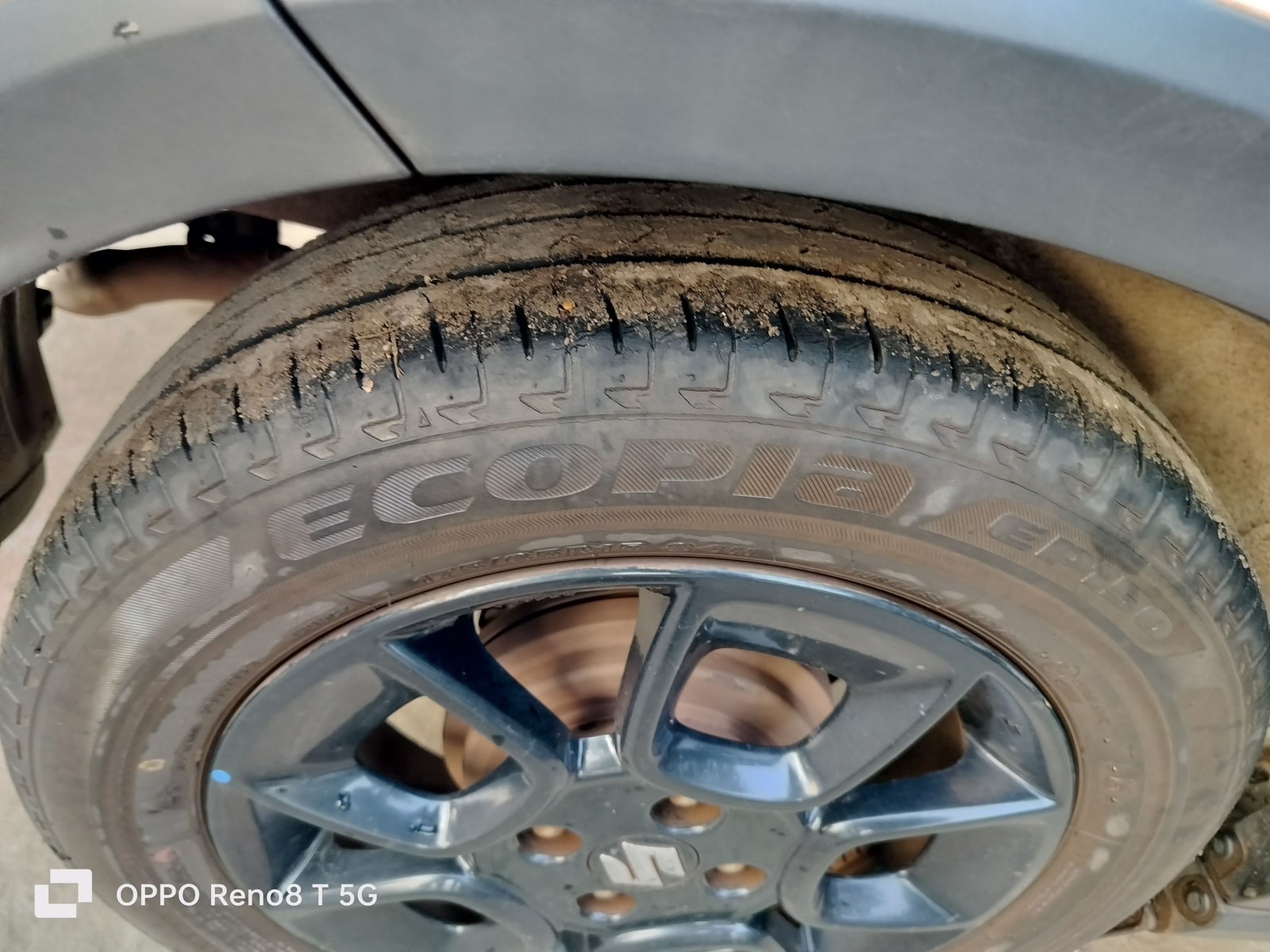 Ignis image 9 Ignis image 9