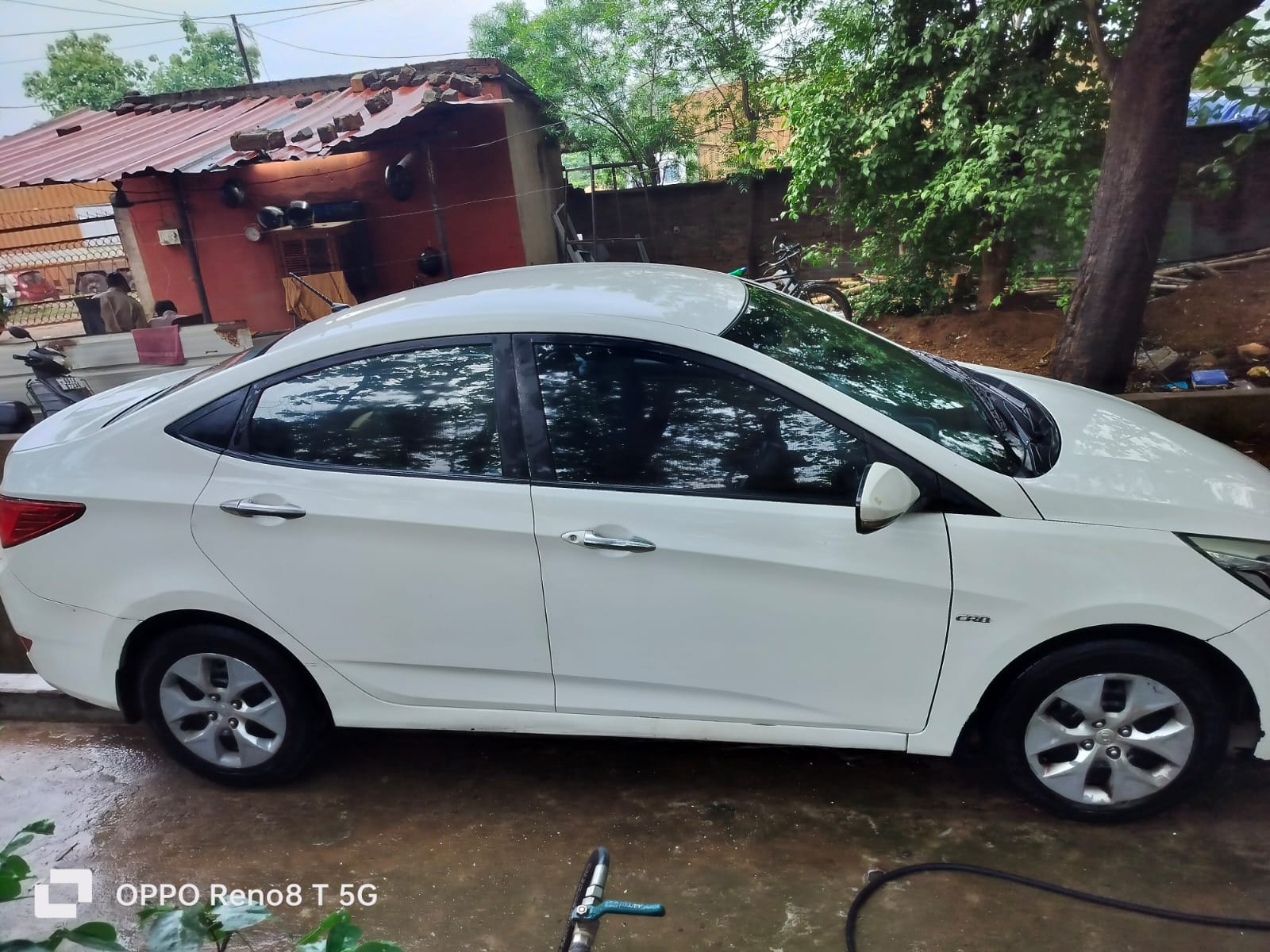 Verna image 6 Verna image 6