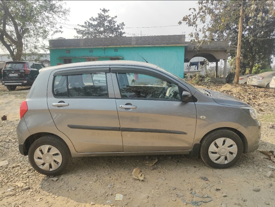 Celerio image 5 Celerio image 5