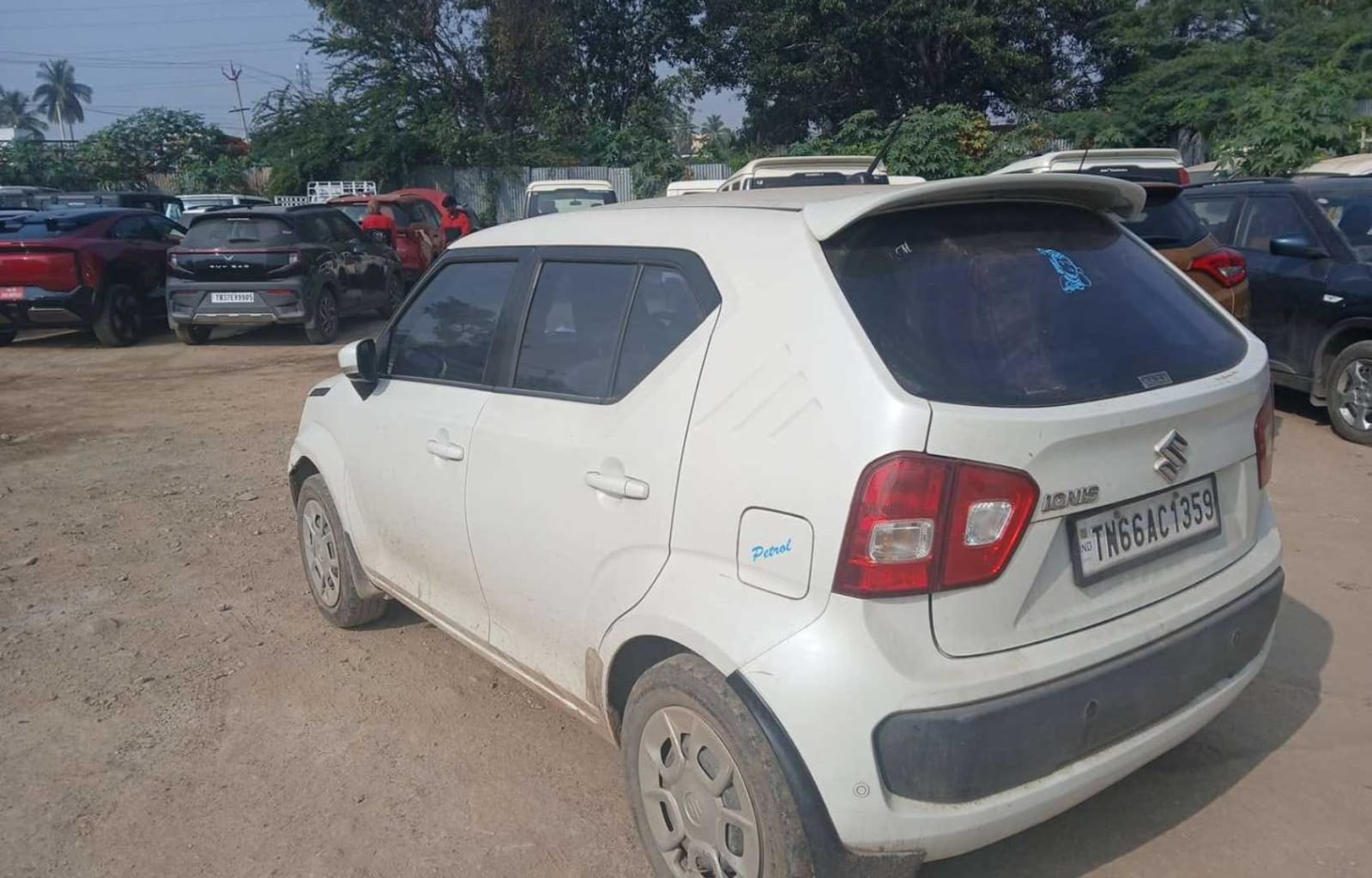 Used 2019 Maruti Suzuki Ignis Used 2019 Maruti Suzuki Ignis