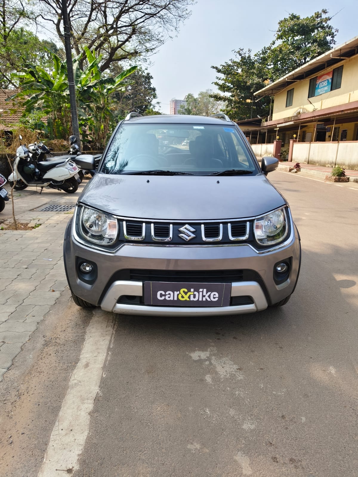 Ignis image 4 Ignis image 4