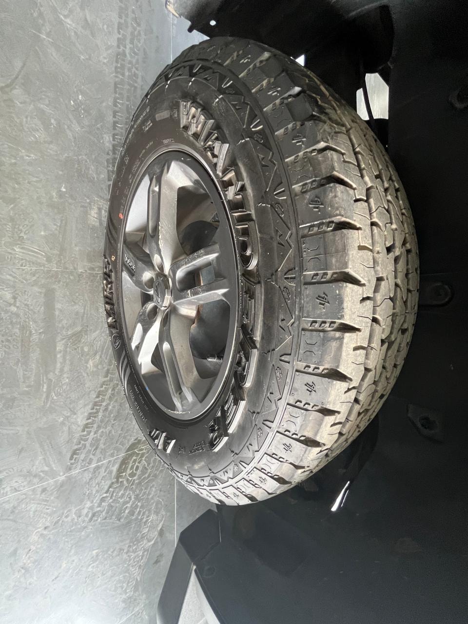 Thar image 9 Thar image 9