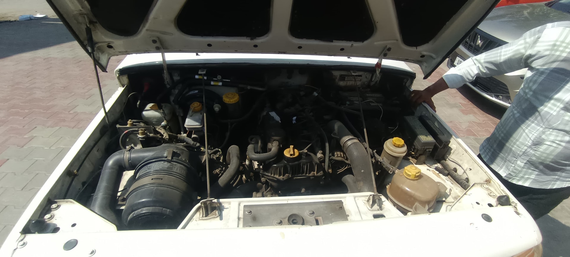 Bolero image 6 Bolero image 6