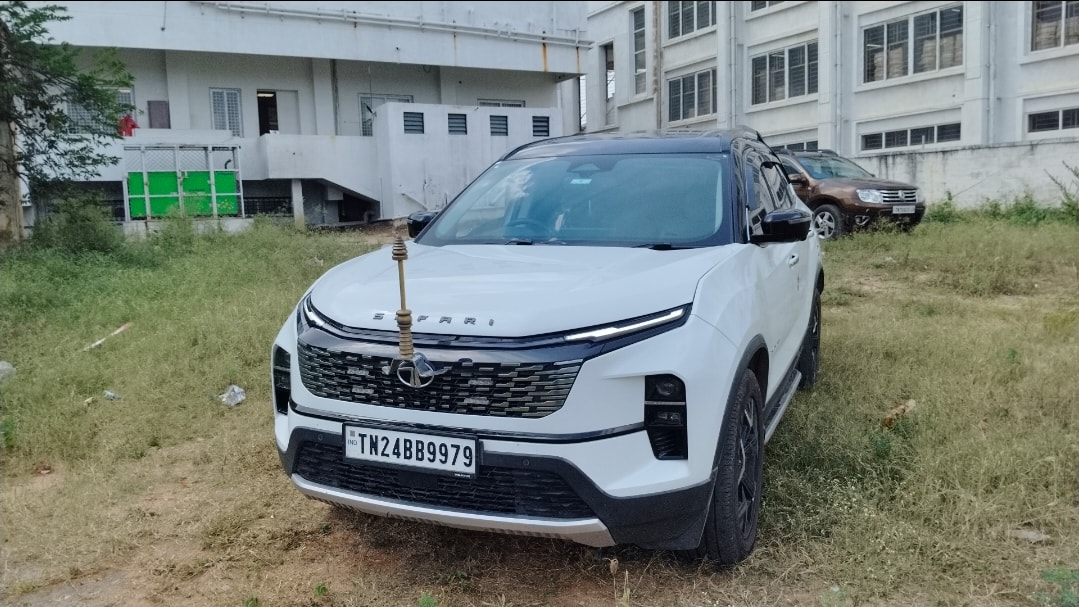 Safari image 1 Safari image 1