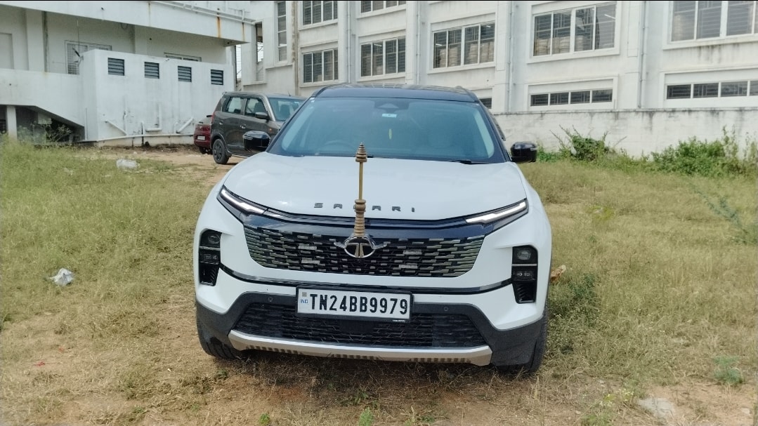 Safari image 8 Safari image 8