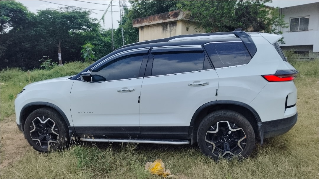 Safari image 2 Safari image 2