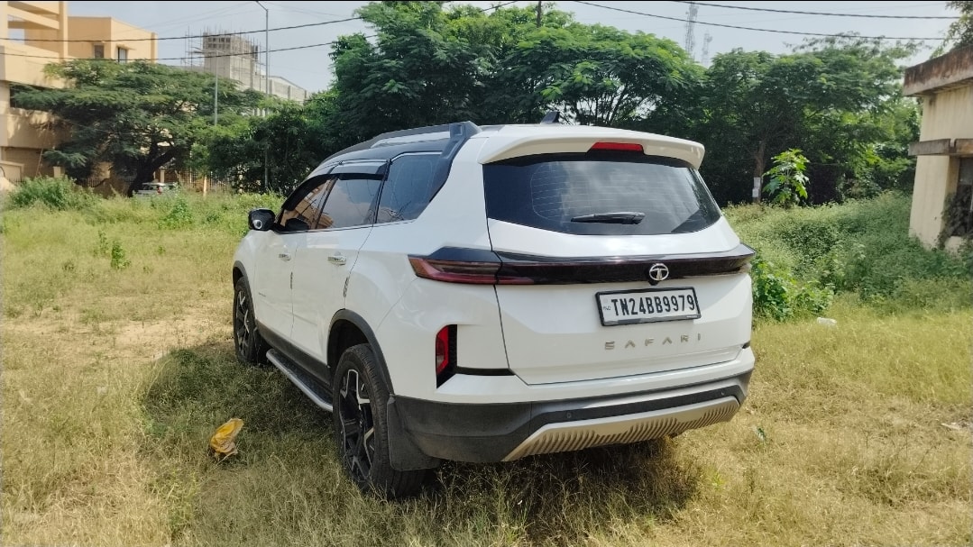 Safari image 3 Safari image 3