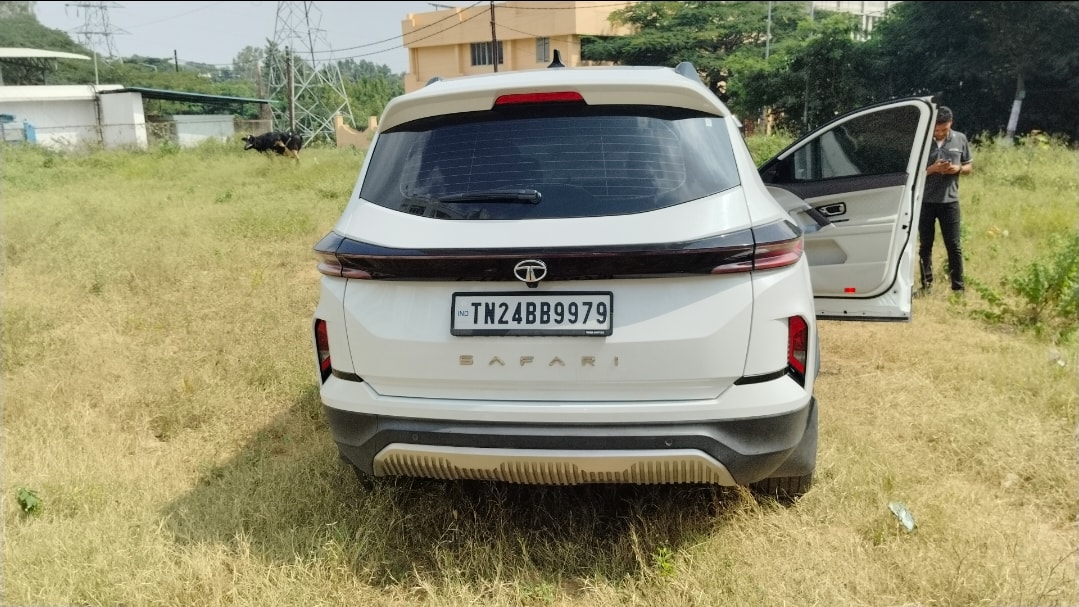 Safari image 4 Safari image 4