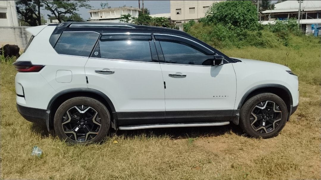 Safari image 6 Safari image 6