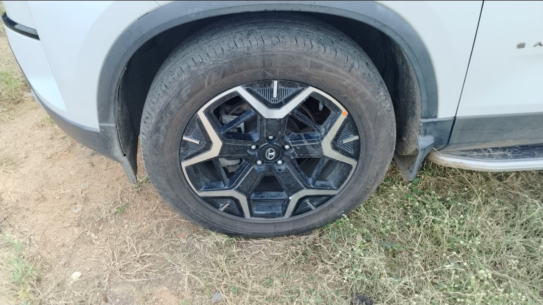 Safari image 9 Safari image 9