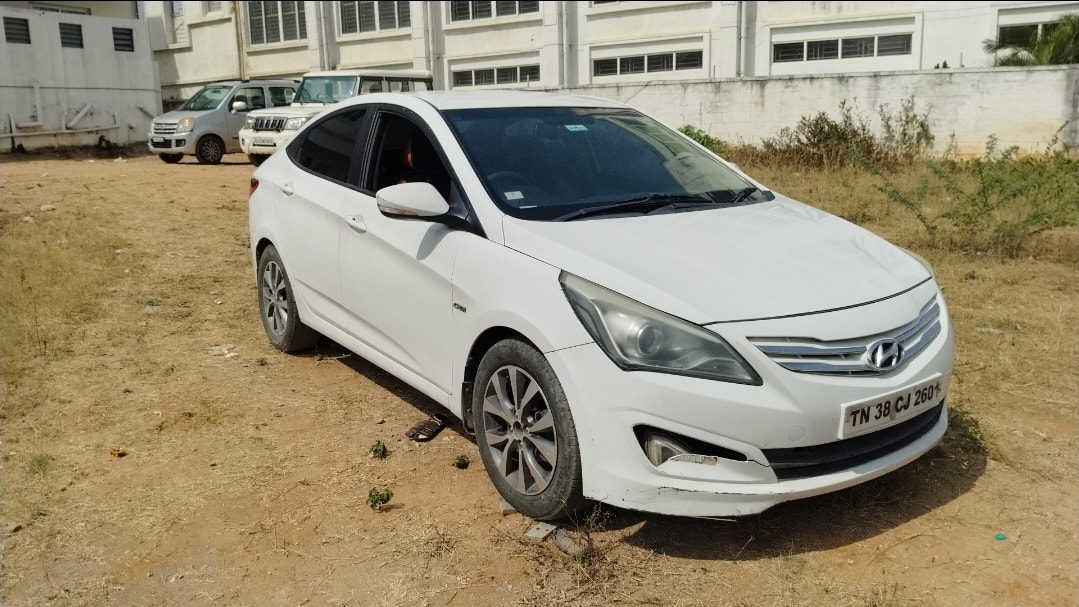 Verna image 7 Verna image 7