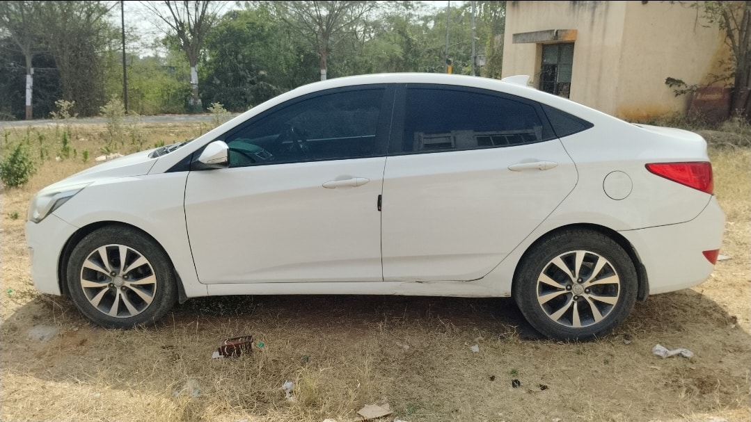 Verna image 2 Verna image 2