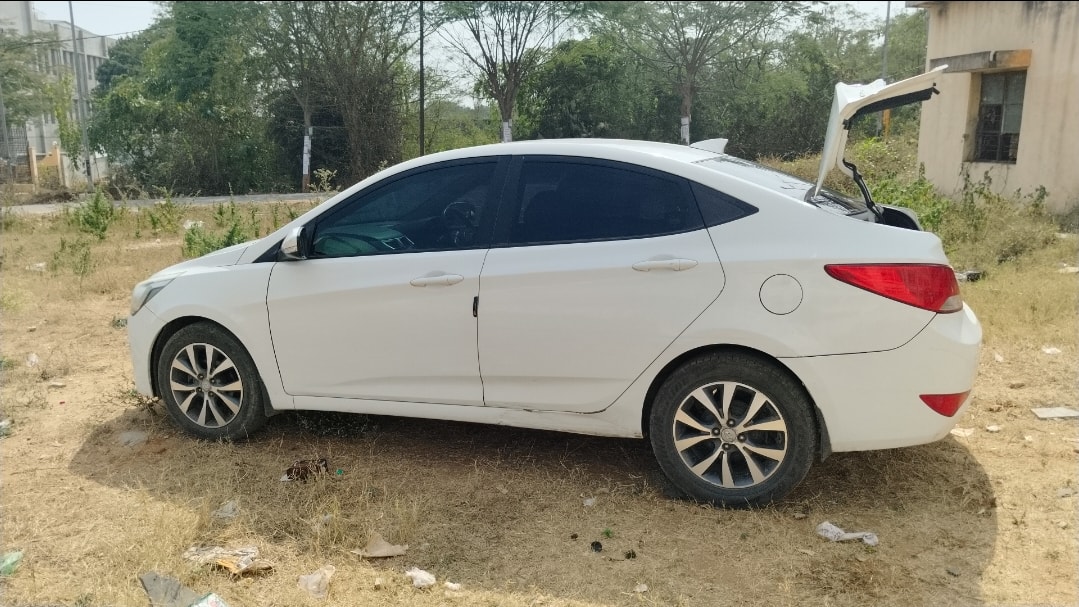 Verna image 10 Verna image 10