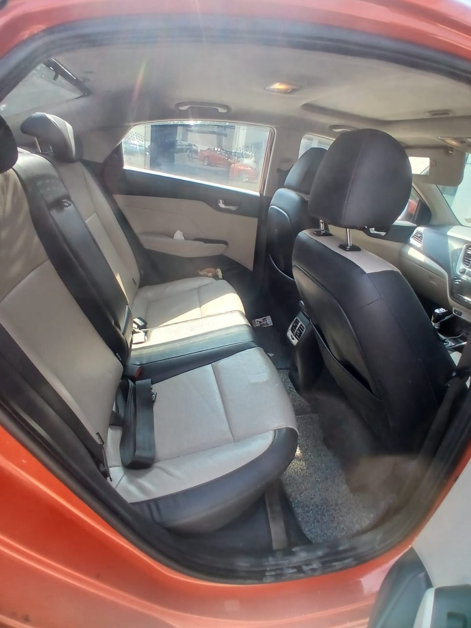 Verna image 17 Verna image 17