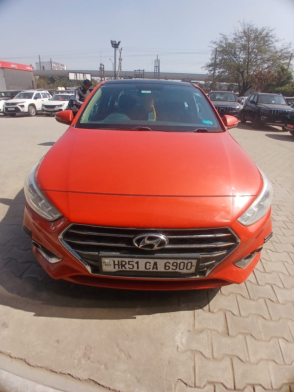 Verna image 8 Verna image 8