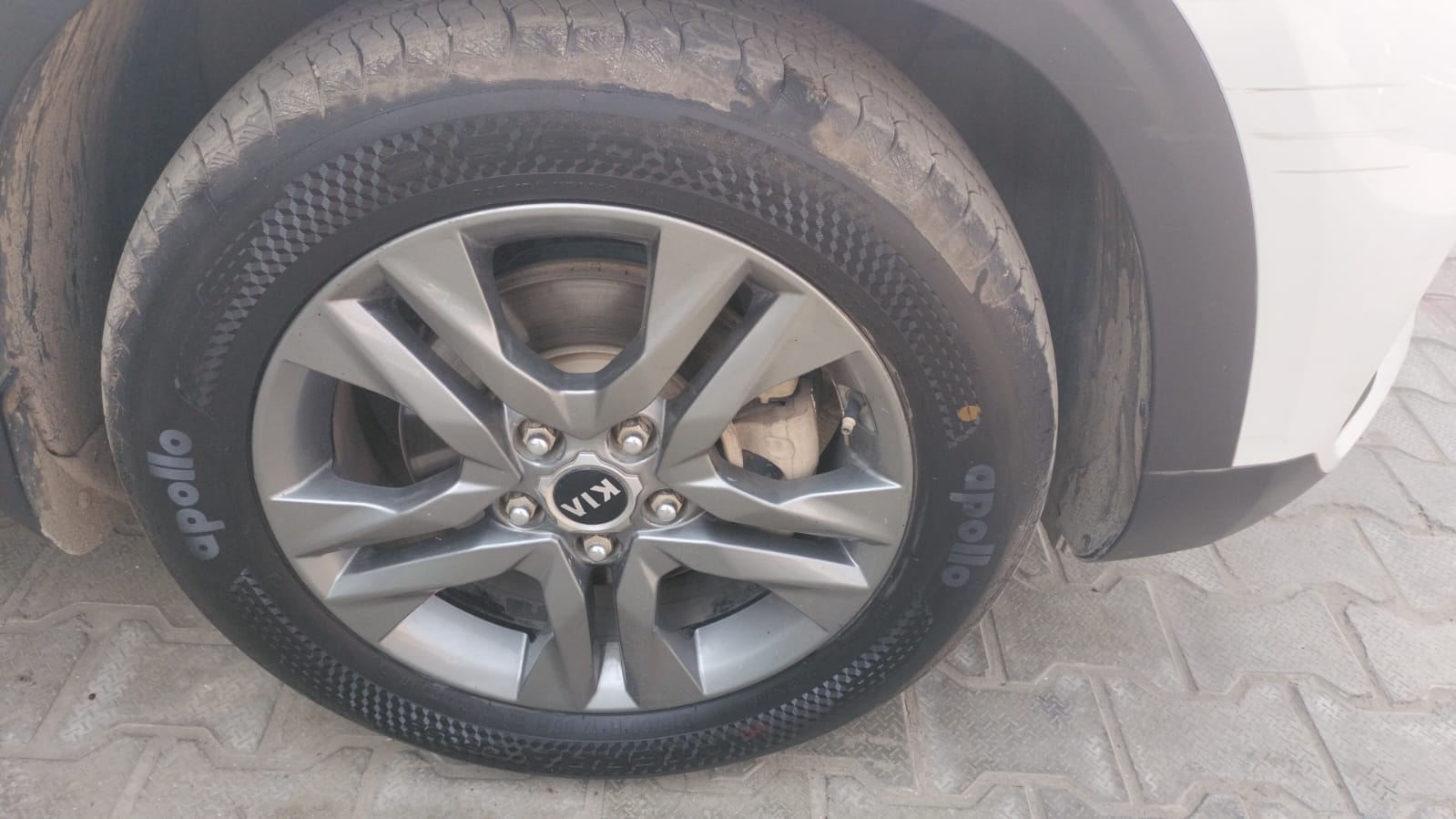 Seltos image 9 Seltos image 9