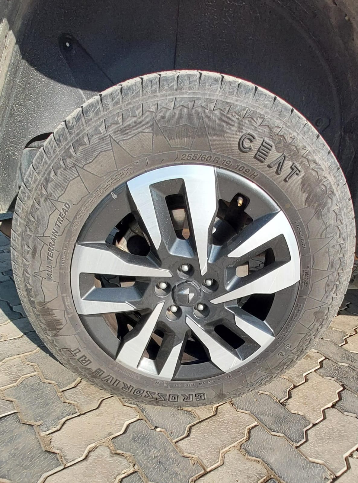 Thar Roxx image 9 Thar Roxx image 9