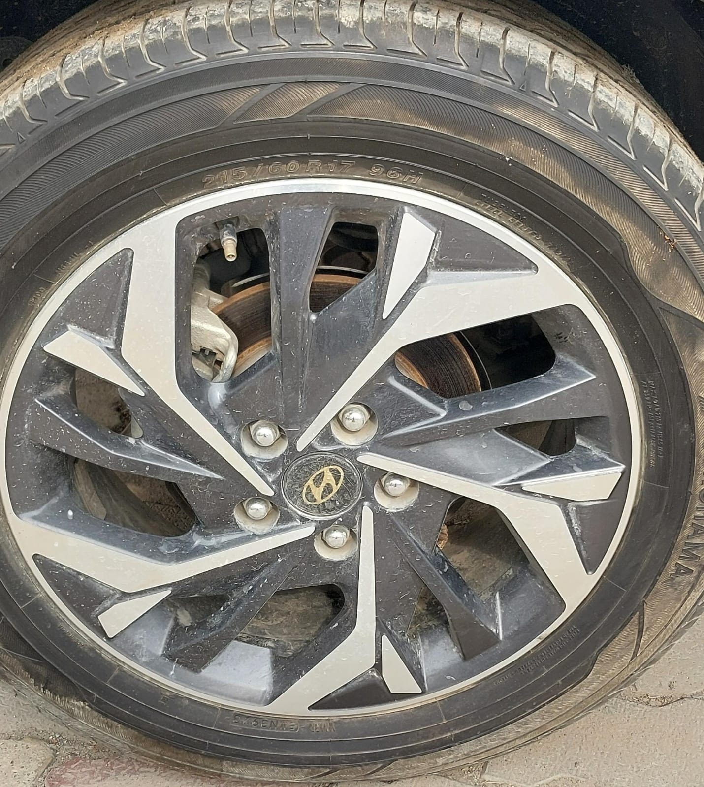 Creta image 9 Creta image 9