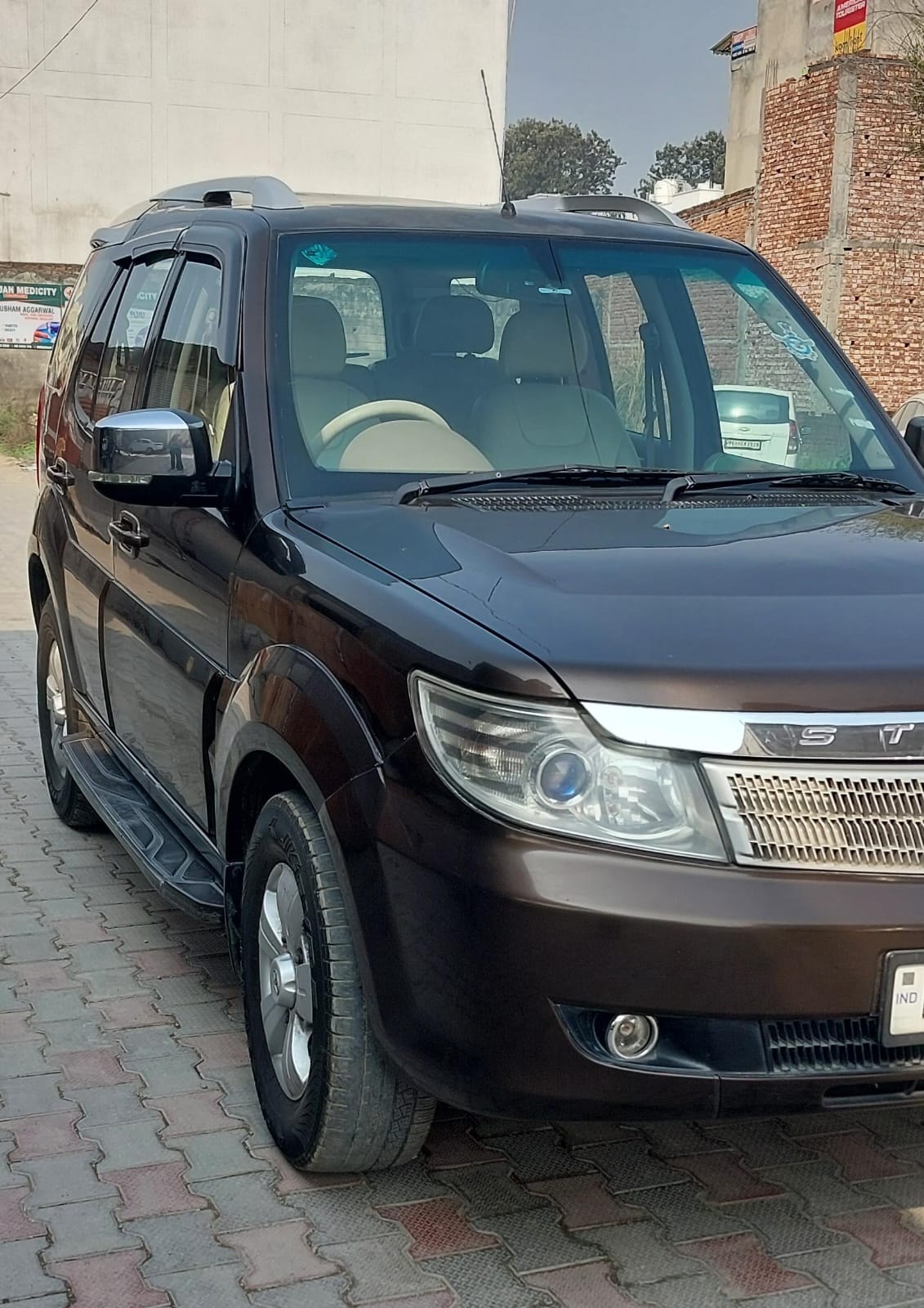 Safari Storme image 7 Safari Storme image 7