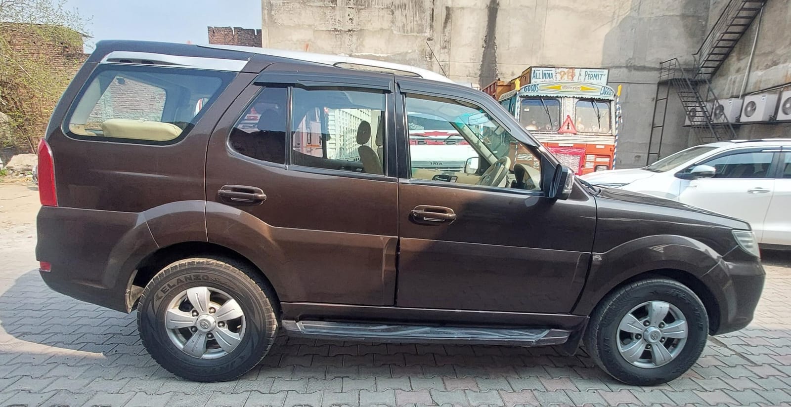 Safari Storme image 6 Safari Storme image 6